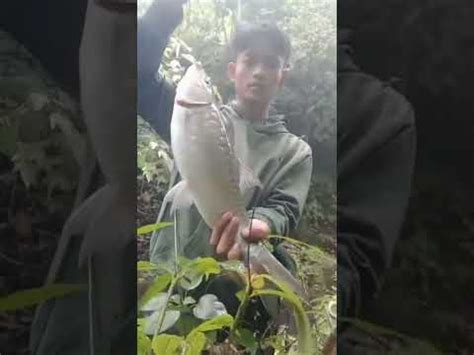 Strike Ikan Dewa Super Babon Spot Liaran YouTube