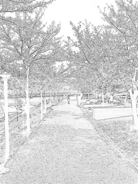 Line Drawing Drawings Outdoor Photo Outdoors Sketches Outdoor