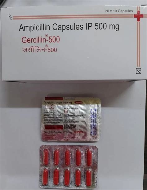 Ampicillin Capsules Ip 500mg At Rs 71 Stripe Pharmaceutical Product