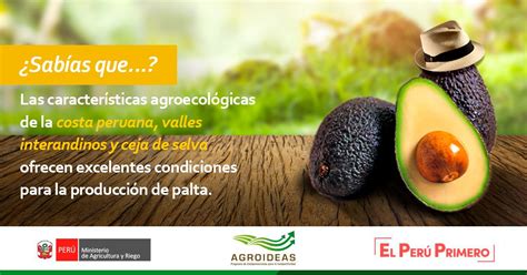 AGROIDEAS MIDAGRI On Twitter Desde AGROIDEAS Buscamos Elevar La