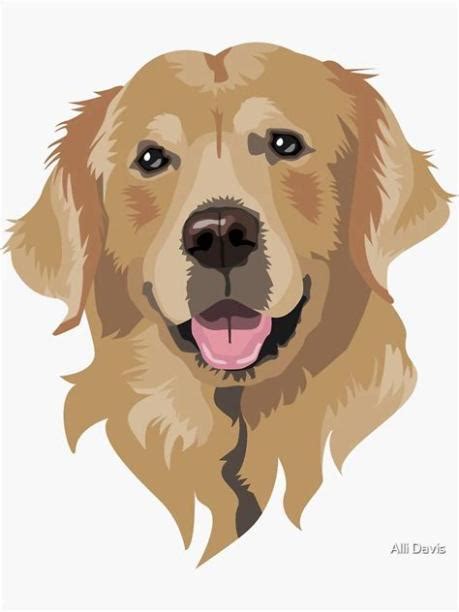 Dibujos Para Colorear De Perros Golden Retriever Como Dibujar Un Perro