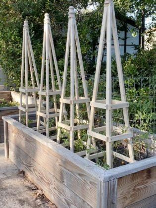 Diy Tomato Cage Trellis Stake Ideas Balcony Garden Web