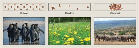 45 1c Species Distribution Biology Libretexts