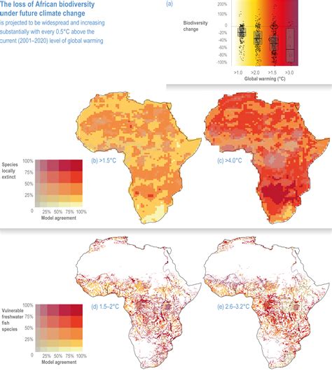 Climate Change Conference 2024 South Africa - Flossi Damaris