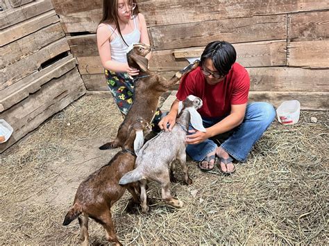nebraska farmer  brazil earns fellowship expands crops  david