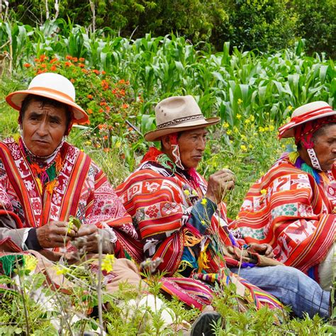 Incas Food And Farming