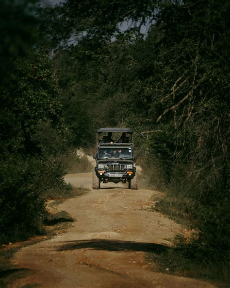 Zanzibar Safari Getaway Book A Tour Online Luxe Tribes