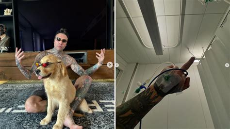 Fedez Ha Un Nuovo Cane Sosia Di Paloma E In Foto Mostra La Flebo