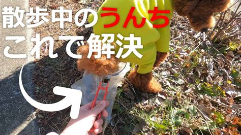 【ワンキャッチ】散歩中に犬のうんちをキャッチ！便利なグッズみつけました 動物（犬・猫 他色々）【まとめ動画】