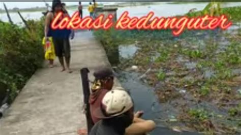 Mancing Nila Kedunguter Demak Plung Sut YouTube