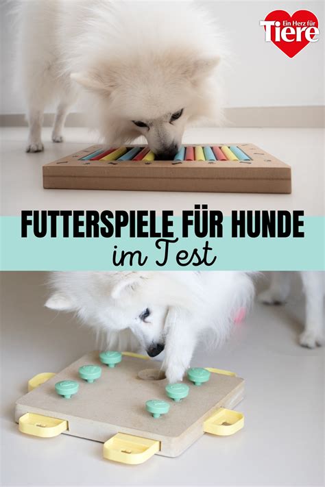 Snack und Intelligenzspielzeuge für Hunde im Test Das sind unsere