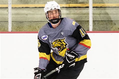 Bismarck Defenseman Vescio Makes Ncaa Di Commitment North American