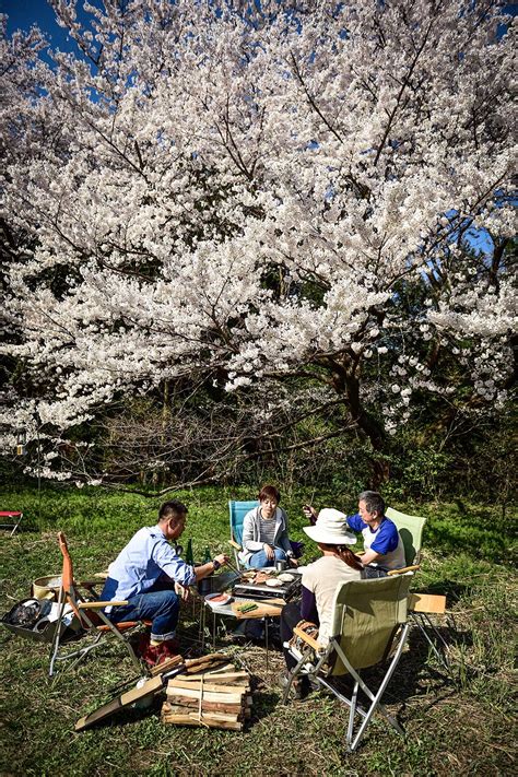 Sakura Camp Styles スノーピーク ＊ Snow Peak