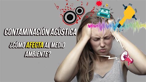 Cómo afecta al Medio Ambiente la Contaminación Acústica YouTube