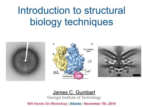 Pdf Introduction To Structural Biology Techniques Dokumentips