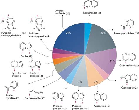 What Are Kinase Inhibitors Boc Sciences