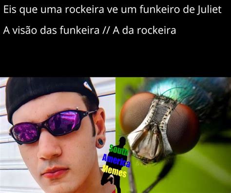 Vitor Silveira Memes