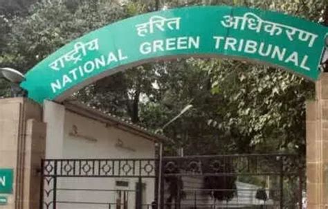 Ngt Forms Panel To Curb Sundarbans Degradation Legal News Et Legalworld