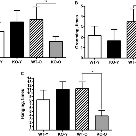 Altered Anxiety Related Behaviors In Middle Aged TAAR1 KO Mice In