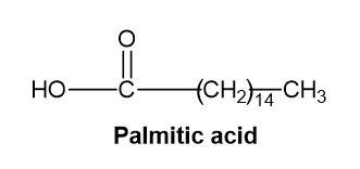 Palmitic Acid Is Obtained From Palm Oil As Glyceryl Tripalmi Quizlet