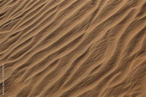 Textura De Arena En El Desierto Stock Photo Adobe Stock