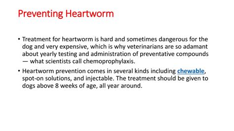 Ppt Things To Know About Canine Heartworm Disease Powerpoint