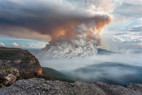 Bushfire Babies Lifts The Lid On Long Term Smoke Health Impacts