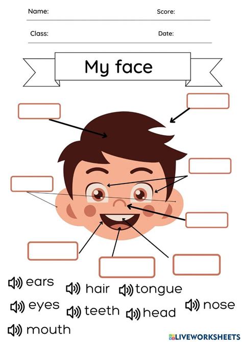 Body Parts My Face Interactive Worksheet Body Parts Preschool Body