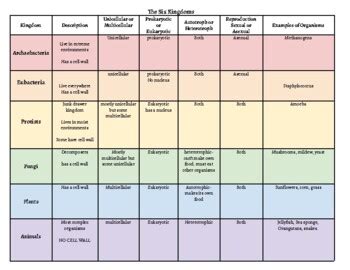 Six Kingdoms: Classification Chart by The Color Coded Company | TPT