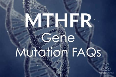 MTHFR Gene Mutation FAQs