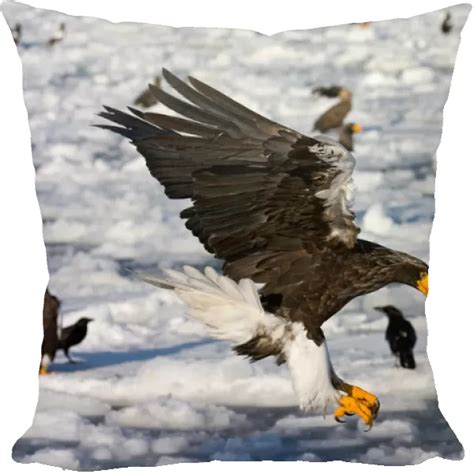 Cushion Of Stellers Sea Eagle Haliaeetus Pelagicus