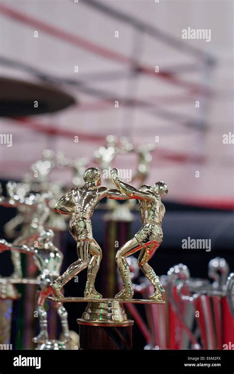 Close Up Of Boxing Trophies Stock Photo Alamy