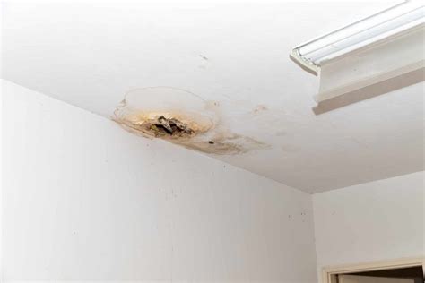 Top Causes Of Basement Water Damage And How To Prevent Them