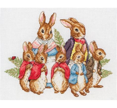 This Counted Cross Stitch Design From Anchor Features Peter Rabbit And