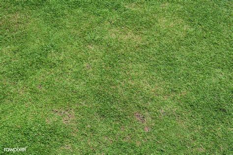 Natural Green Grass Background Free Image By Rawpixel