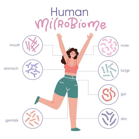 Diferentes Tipos De Microbioma Humano Infogr Fico Con Car Cter Femenino