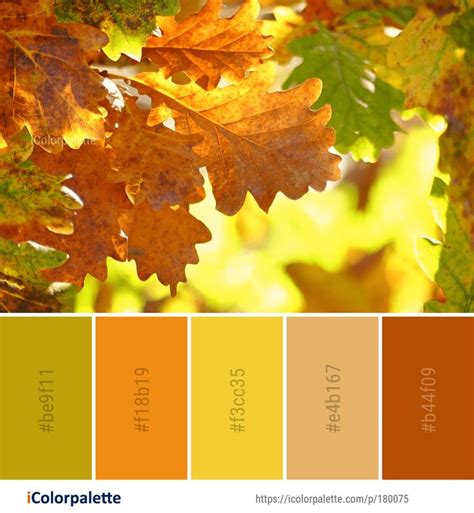 Color Palette Ideas From Autumn Images Icolorpalette Fall Color