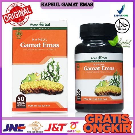 Jual Kapsul Gamat Emas Herbal Original Isi Kapsul Bersertifikat