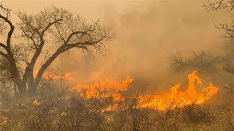 Texas Panhandle Wildfire Surges Becoming Second Largest In States History Funasia