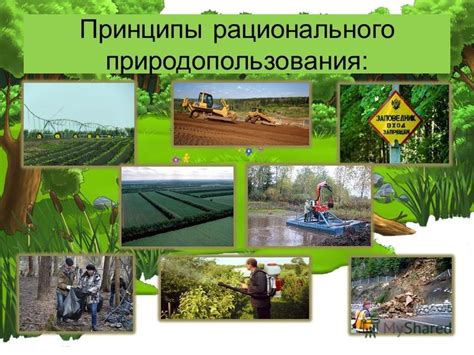 Природные Ресурсы Картинки Для Презентации — Mixyfotos.ru
