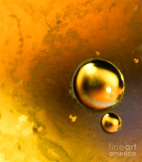 Golden Orbs Photograph By Sarah Mcmahon Fine Art America