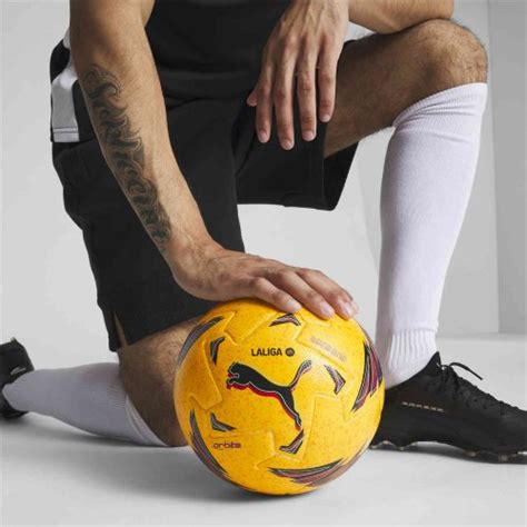 Puma Orbita La Liga Winter Pro Soccer Ball Dandelion Multi Color