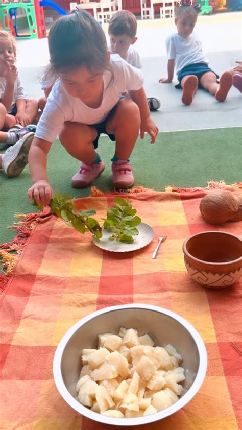 Cultura Ind Gena Educa O Infantil Multim Dia Bal O Vermelho Alicerce