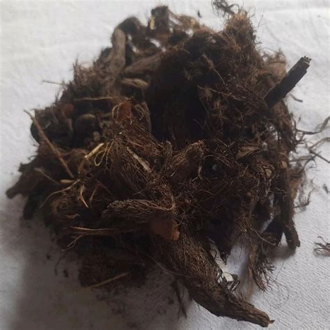 Brown Nardostachys Jatamansi Root For Medicinal Use Packaging Type