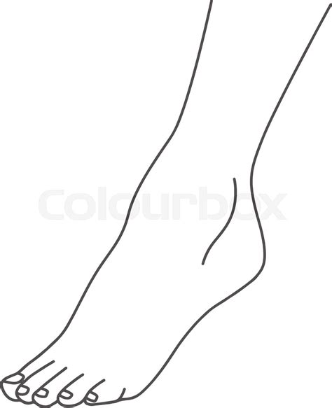 Female Foot Leg Standing On Toes Line Drawing Of Feet Isolated On