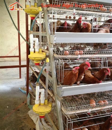 Pyramid 4 Tier 120 Birds Chicken Layer Cages Price Battery Cage Design