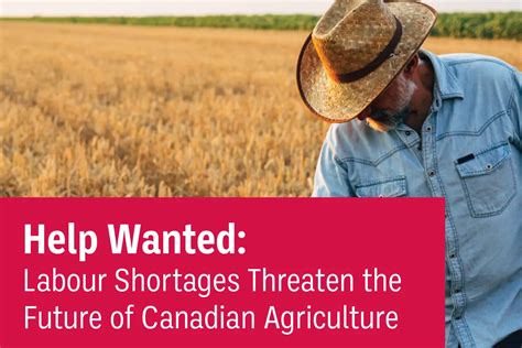 Help Wanted Labour Shortages Threaten The Future Of Canadian Agriculture