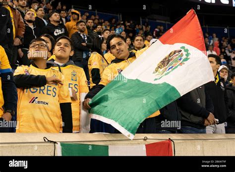 Tigres Uanl Fans Hi Res Stock Photography And Images Alamy