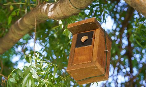 Instalan Nuevas Cajas Nido En El Parque Antonio Machado Para