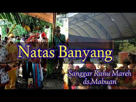 Natas Banyang Prosesi Pernikahan Adat Dayak Ma Anyan Part Youtube